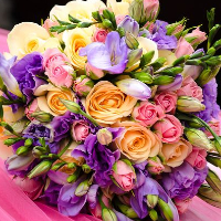 Gerd Anna Reginiussen