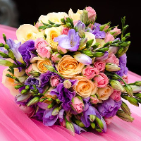 Liv Emilie Brodtkorb